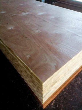 Plywood veneer layers showing bonding quality